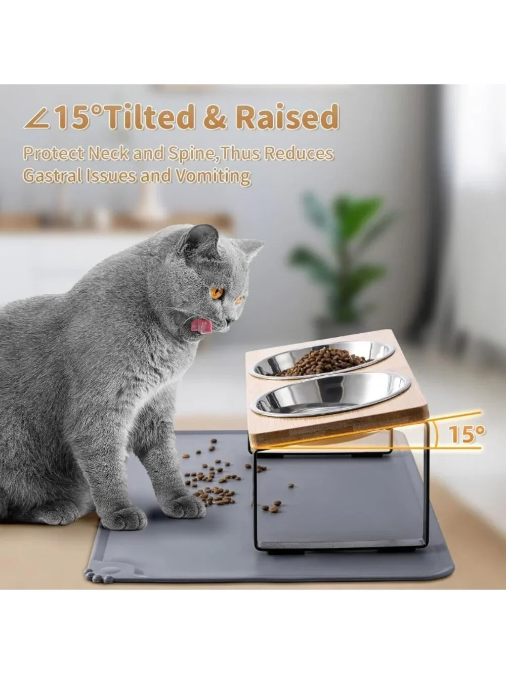 Elevated Cat Bowls with Anti-Vomiting Tilted Stand & Food Mat - 2 Stainless